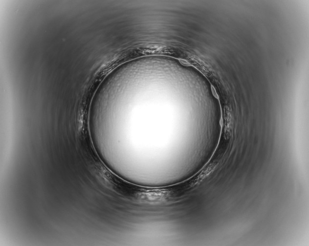 X0000086950758200704301217