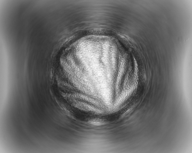 X0000086950759200704301217