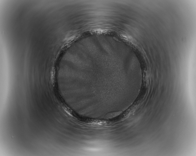 X0000086950760200704301217