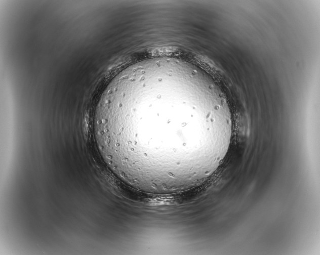 X0000086950761200704301217