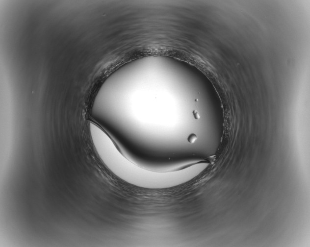 X0000086950762200704301217