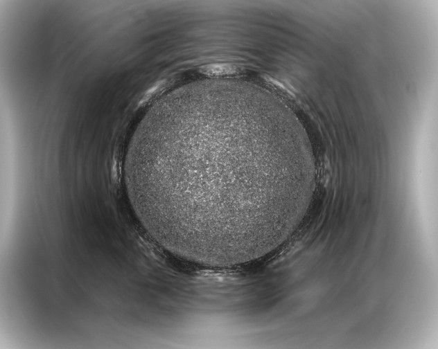 X0000086950763200704301217