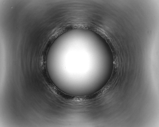 X0000086950764200704301217