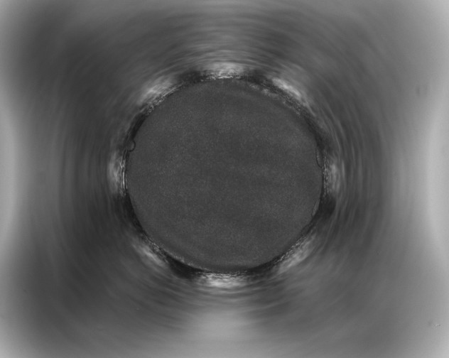 X0000086950766200704301217