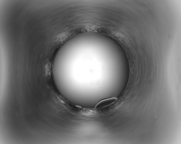 X0000086950768200704301217