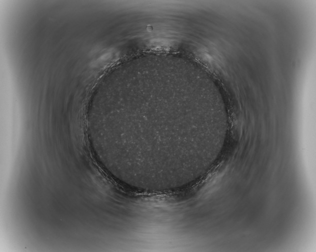 X0000086950769200704301217