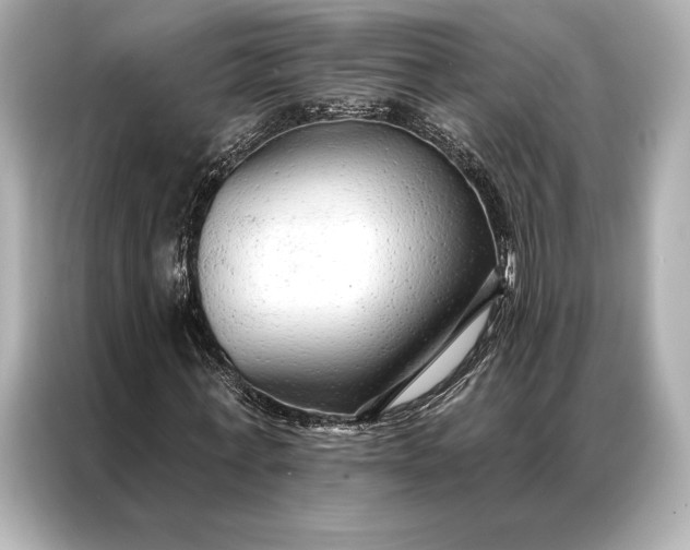 X0000086950771200704301217