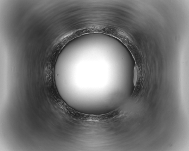 X0000086950773200704301217