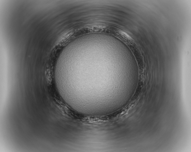 X0000086950774200704301217