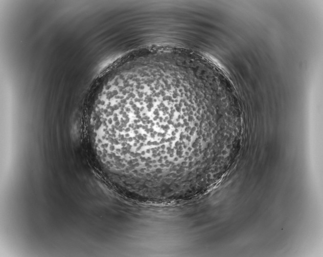 X0000086950775200704301217