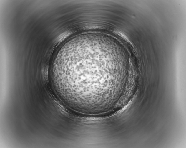 X0000086950777200704301217