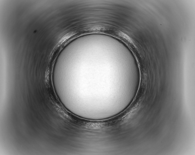 X0000086950778200704301217