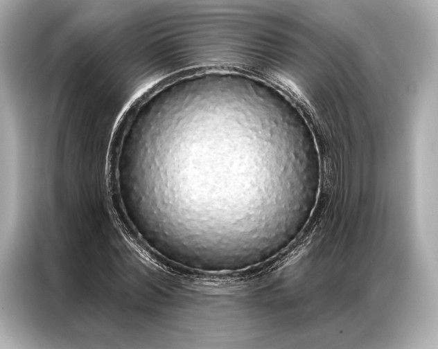 X0000086950780200704301217