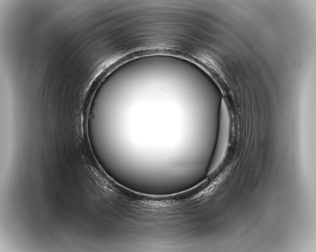 X0000086950781200704301217