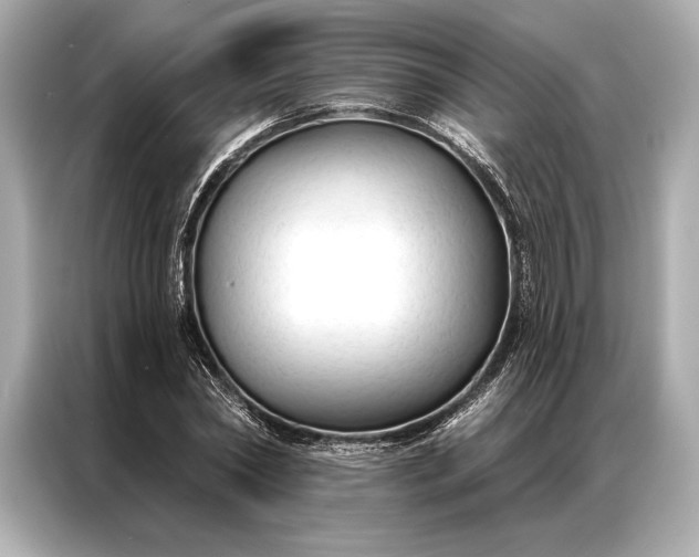 X0000086950782200704301217