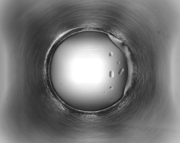 X0000086950784200704301217