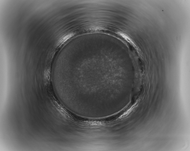 X0000086950785200704301217