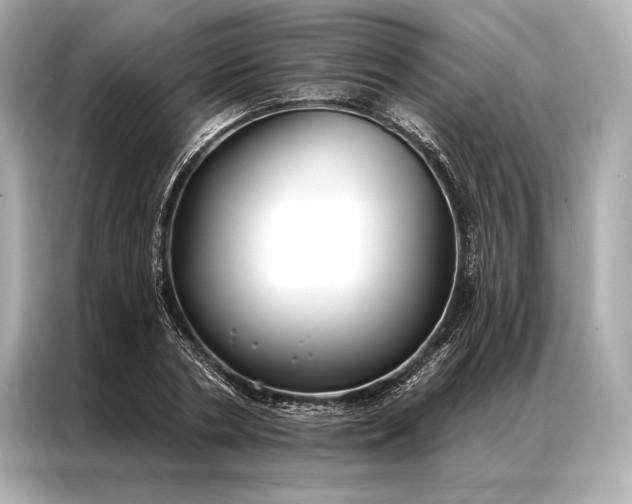 X0000086950786200704301217