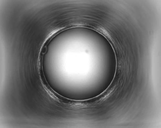 X0000086950787200704301217