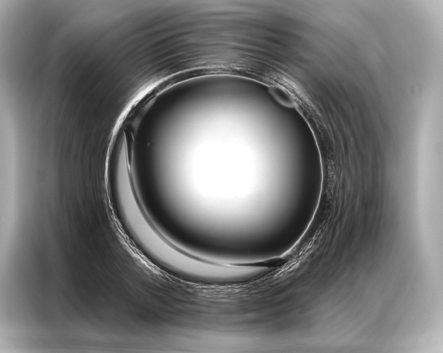 X0000086950788200704301217