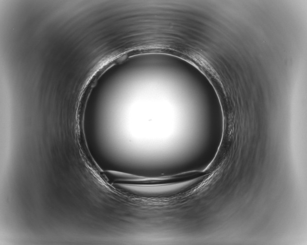 X0000086950789200704301217