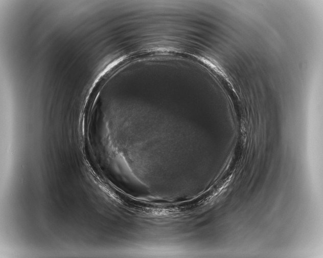 X0000086950790200704301216