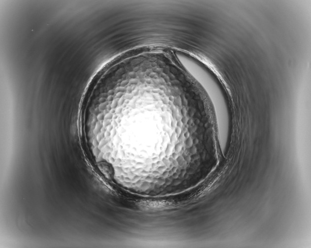 X0000086950791200704301216