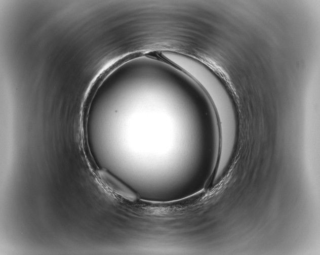 X0000086950792200704301216