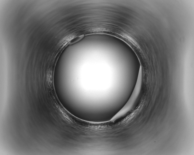 X0000086950793200704301216