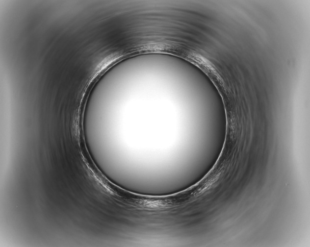 X0000086950794200704301216