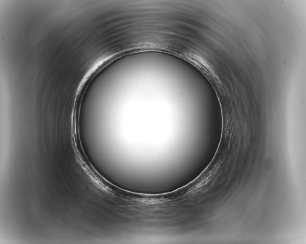 X0000086950796200704301216