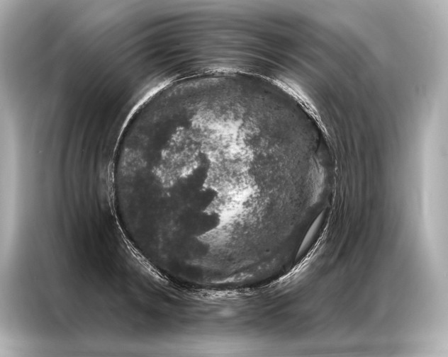 X0000086950798200704301216