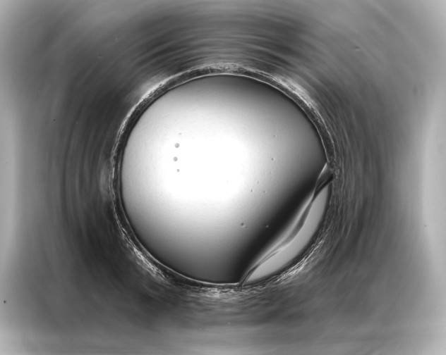 X0000086950799200704301216