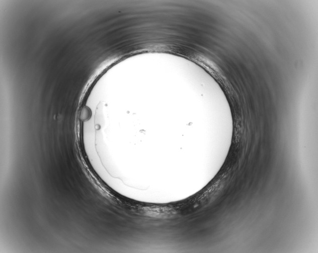 X0000086950804200704301216