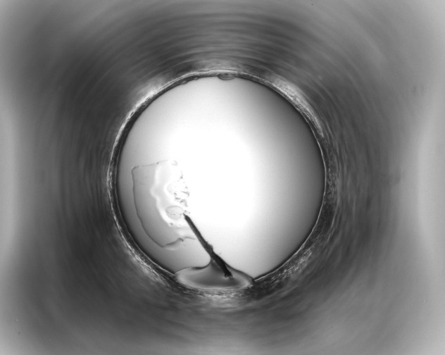 X0000086950805200704301216