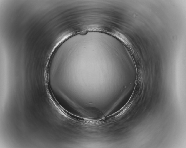 X0000086950806200704301216