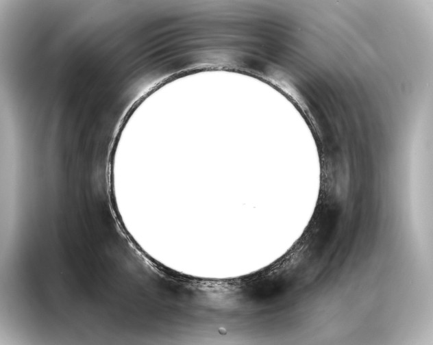 X0000086950807200704301216