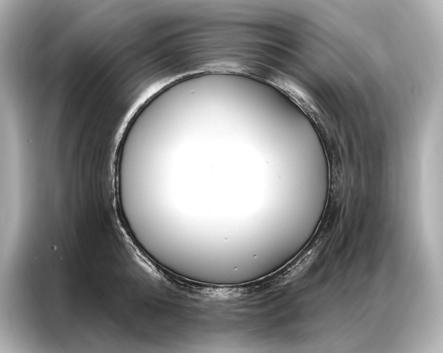 X0000086950808200704301216