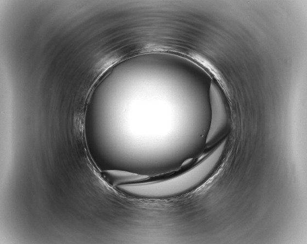 X0000086950809200704301216