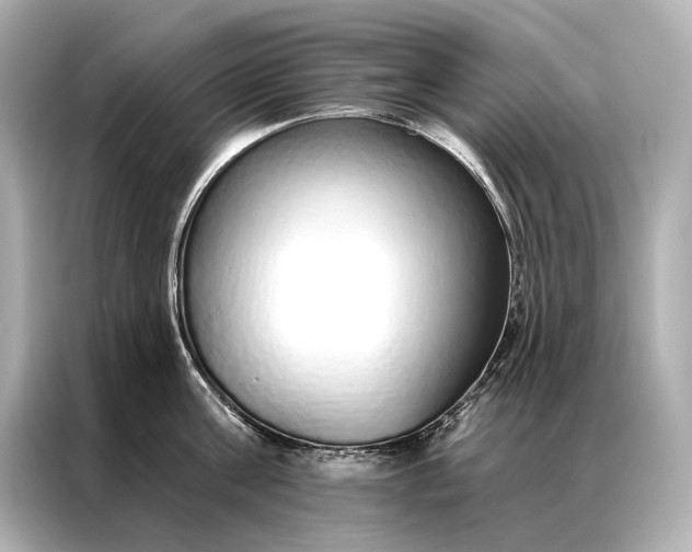 X0000086950811200704301216