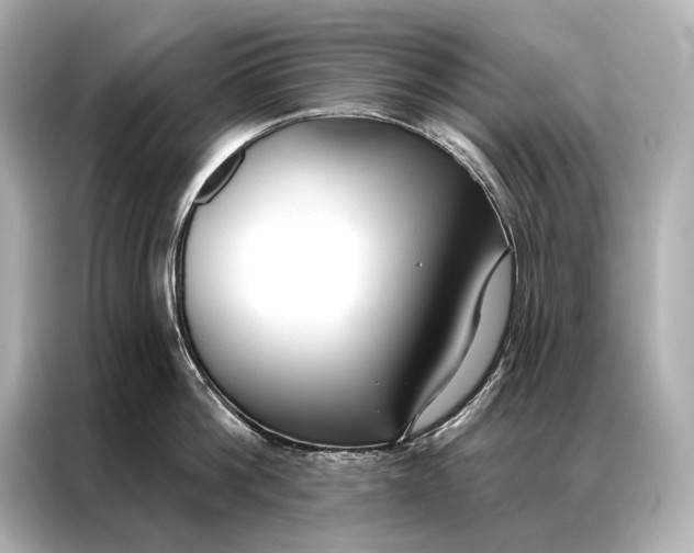 X0000086950812200704301216