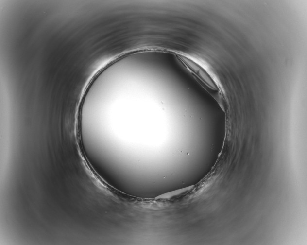 X0000086950815200704301216