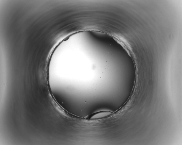 X0000086950816200704301216