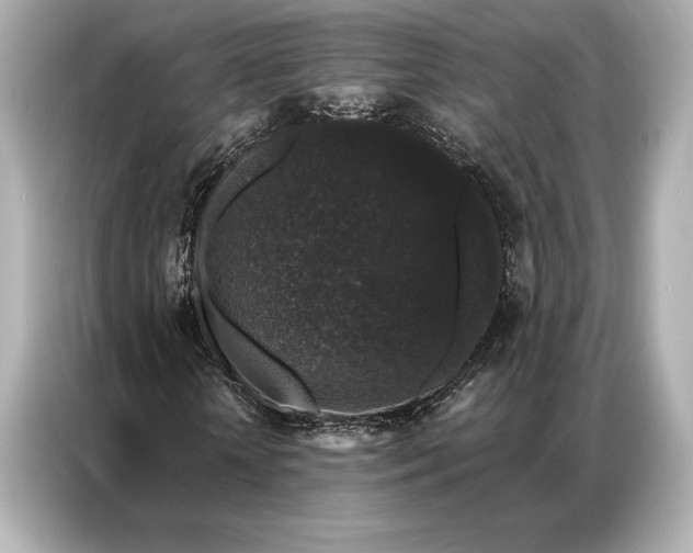 X0000086950818200704301215