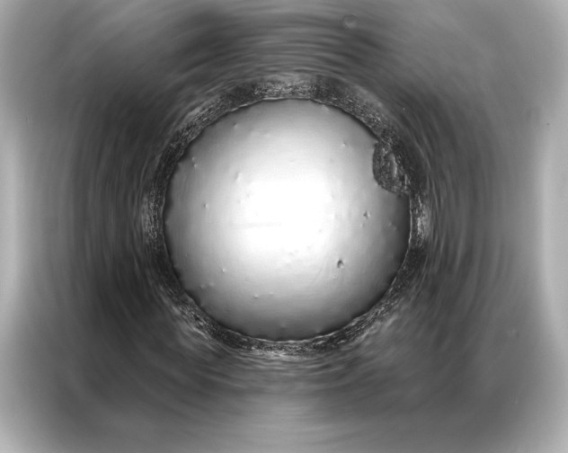 X0000086950819200704301215