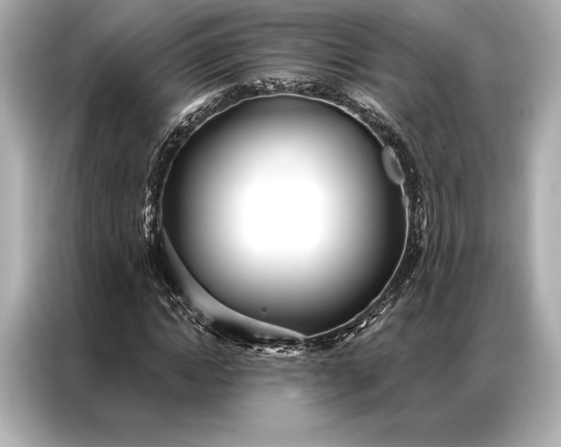 X0000086950822200704301215