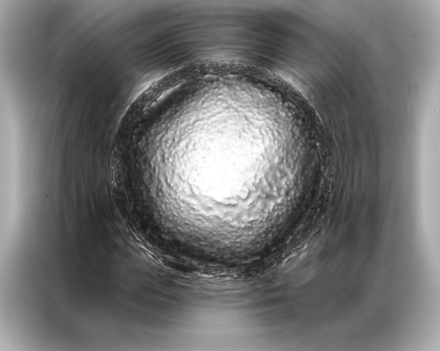 X0000086950823200704301215