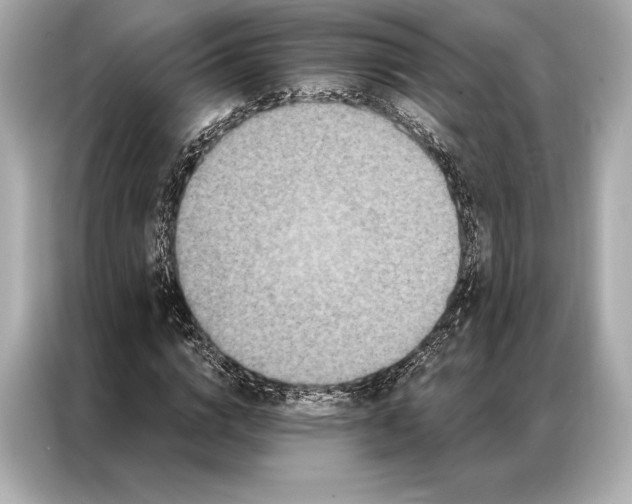 X0000086950824200704301215