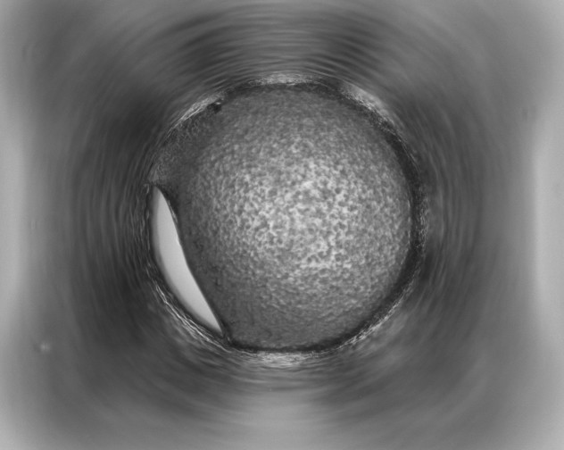 X0000086950825200704301215