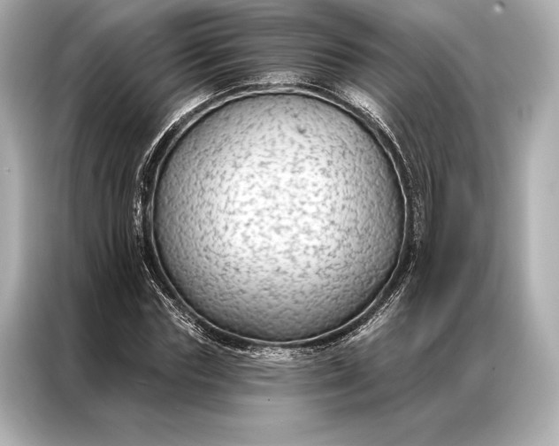 X0000086950827200704301215